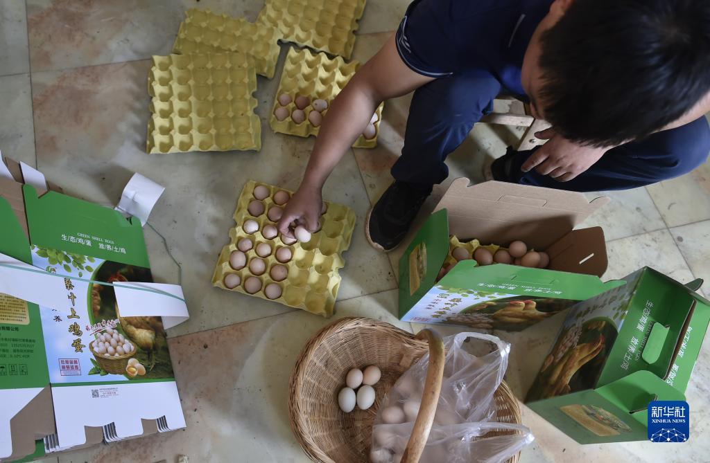 十博资金审核